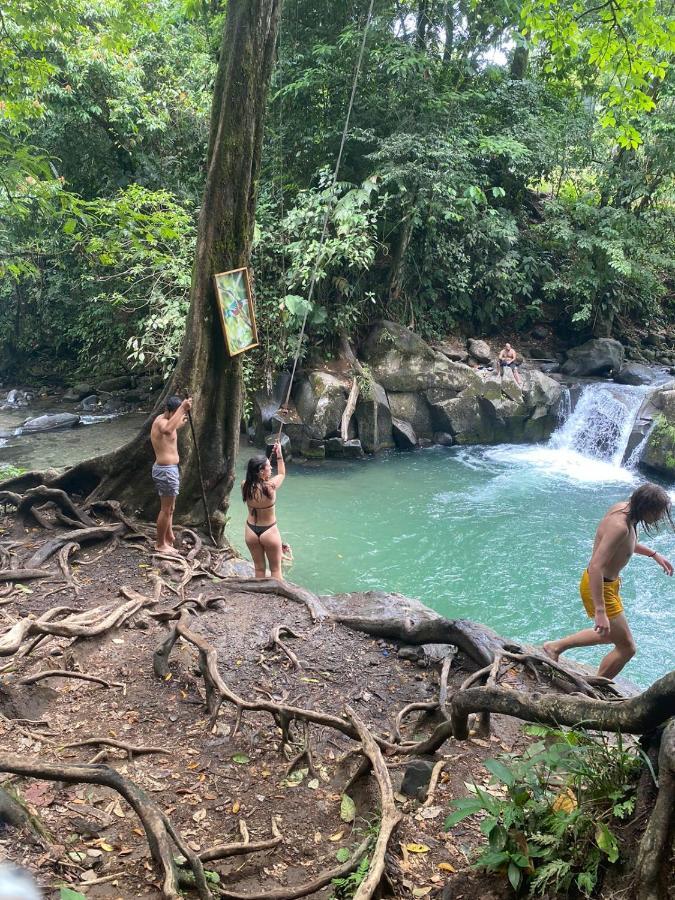 Coati Del Arenal Posada La Fortuna Eksteriør bilde