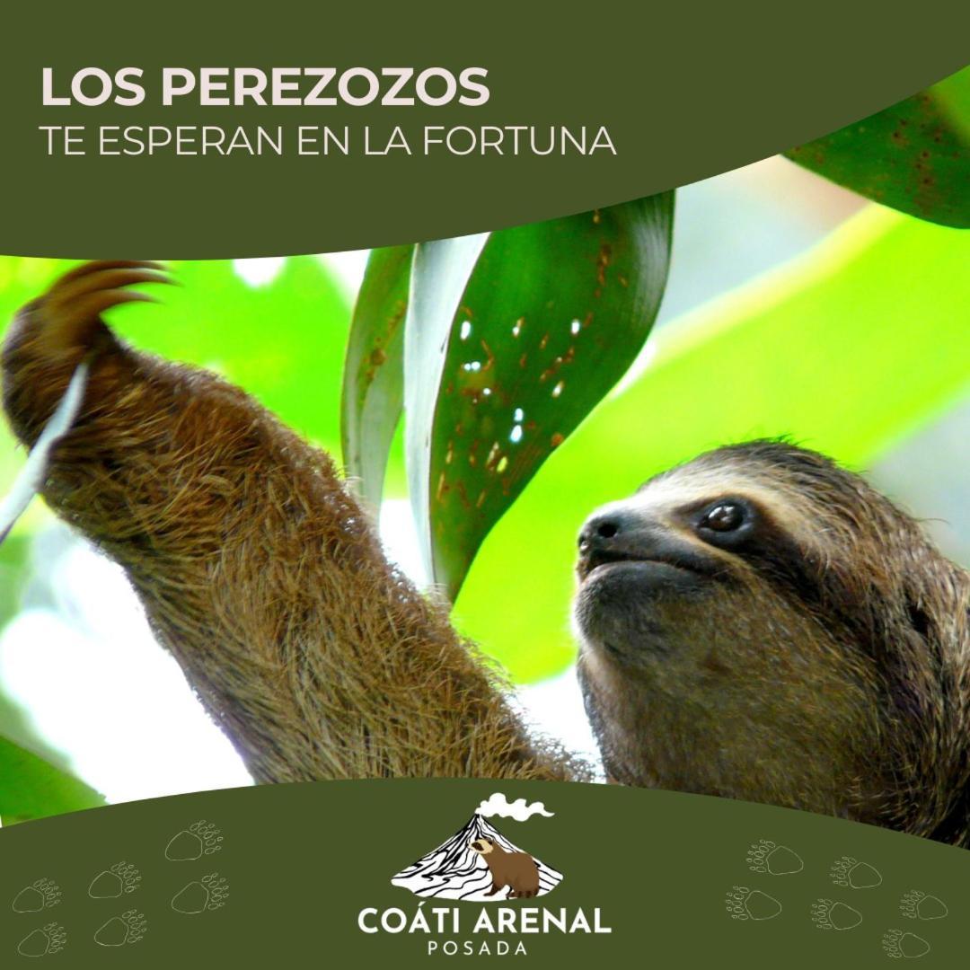 Coati Del Arenal Posada La Fortuna Eksteriør bilde